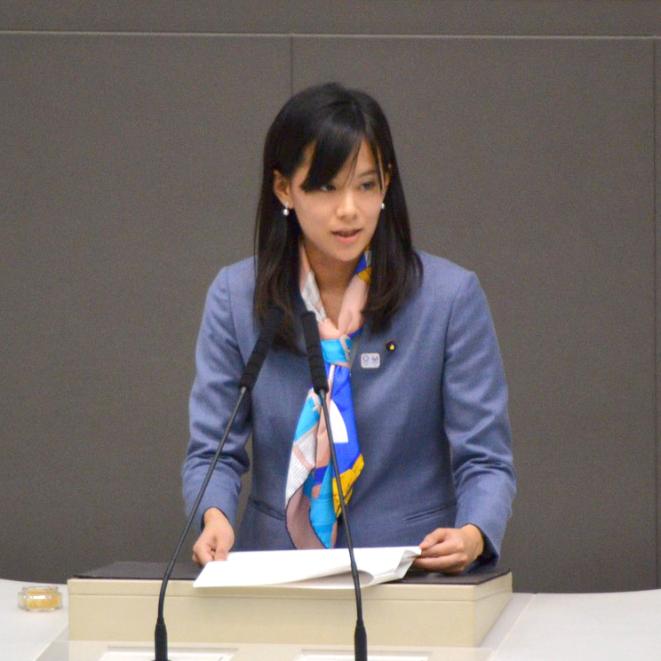 都議会では、行財政改革、子育て支援、男性の家事育児参画、私立高等学校の授業料負担軽減、都有地活用などを促進してきました。