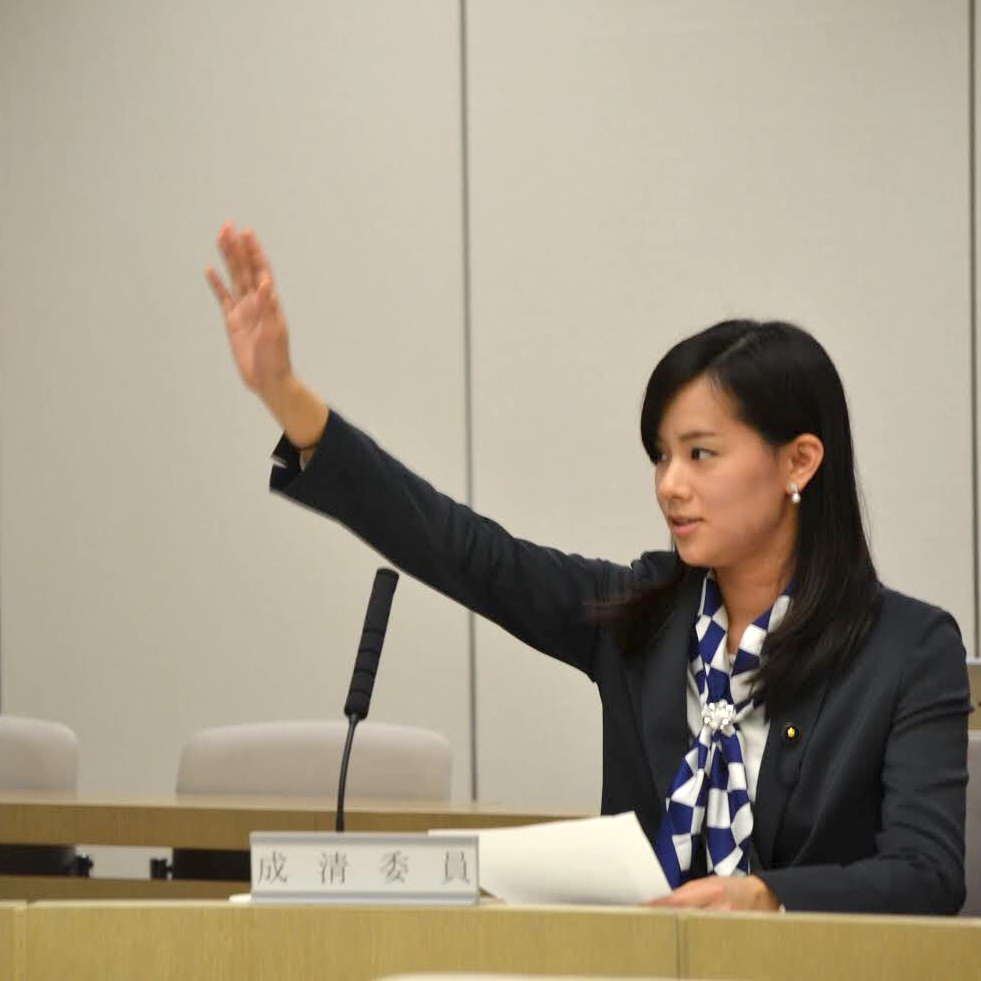 都議会では、行財政改革、子育て支援、男性の家事育児参画、私立高等学校の授業料負担軽減、都有地活用などを促進してきました。